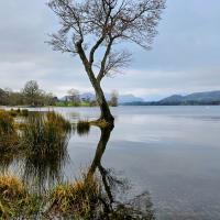 Waterlogged by Martin Sanderson 58 marks